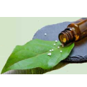 The Homeopathic Naturopathic Physicians (HANP) 30 Hour Core Curriculum