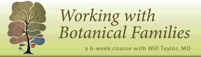 Working with Botanical Families