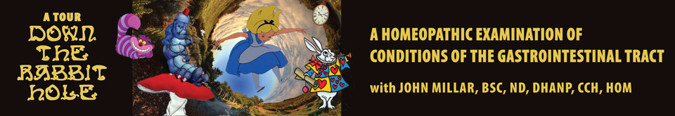 From Down the Rabbit Hole: A Homeopathic Examination of Conditions of the Gastrointestinal Tract