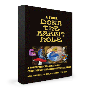 A Tour Down the Rabbit Hole