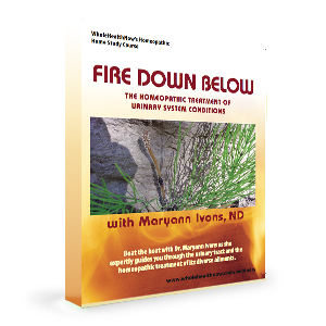 Fire Down Below