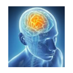 Of Sound Mind & Body