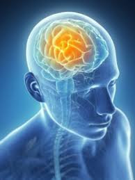 Of Soul Mind & Body