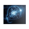 Mind Over Matter: The Homeopathic Treatment of Psychiatric Disorders