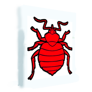 What's Bugging You?