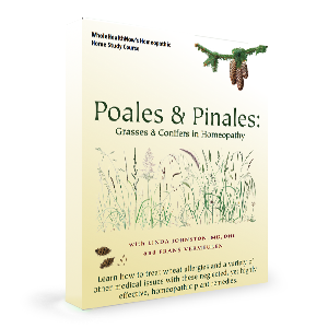Poales & Pinales