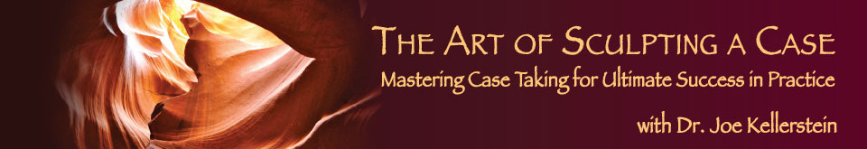 The Art of Sculpting a Case - Mastering Case Taking for Ultimate Success in Practice
