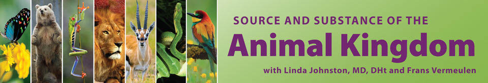 Source and Substance of the Animal Kingdom