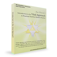 Introduction to the Vital Approach