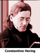 Constantine Hering