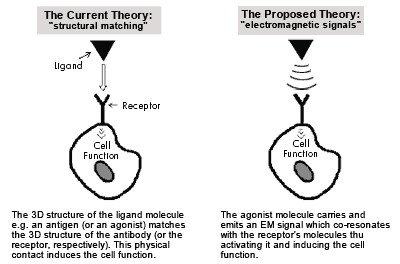 current v. proposed theory