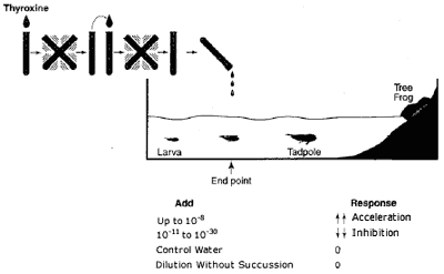 tadpole experiment 1