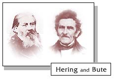 Hering and Bute